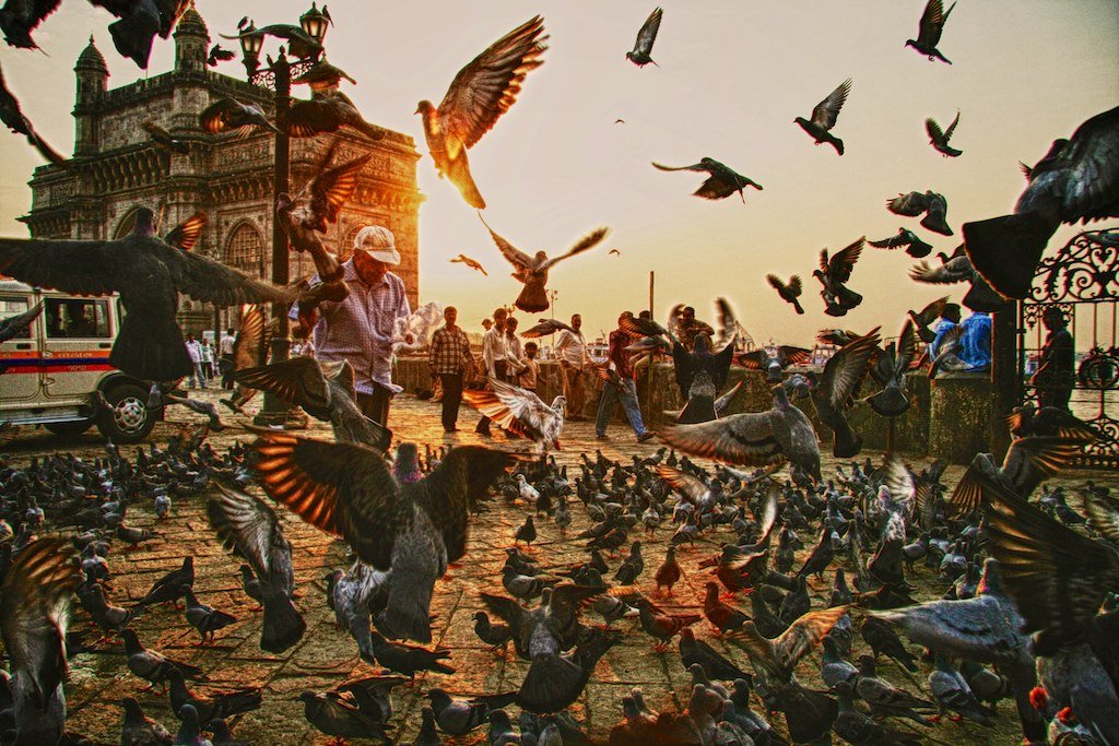 Image of Gateway of India